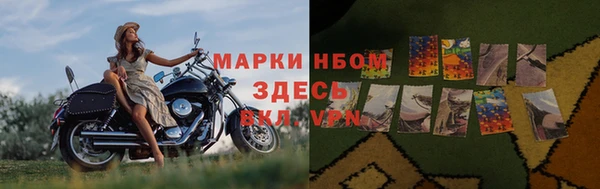 спиды Новодвинск