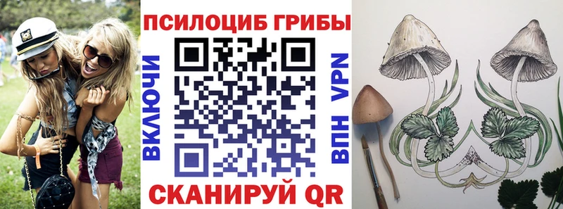Псилоцибиновые грибы Magic Shrooms Купить где Кашин
